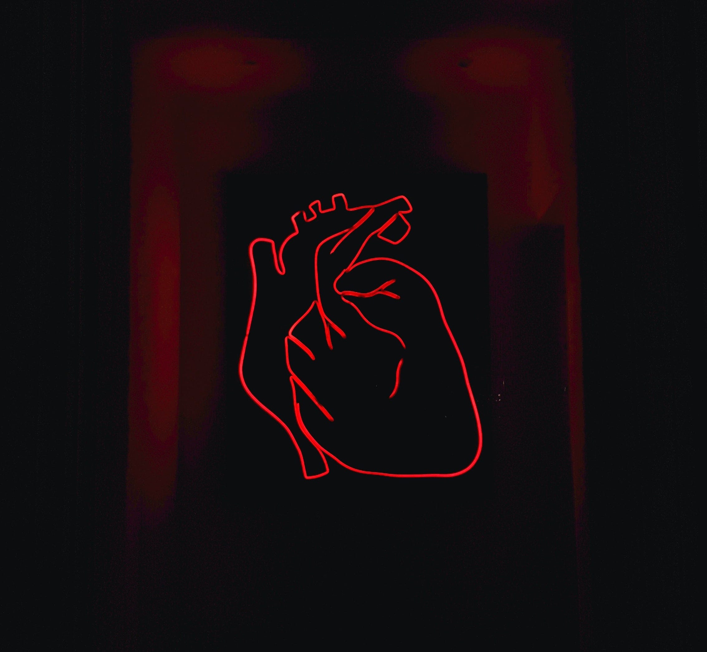 Photo byAlexandru AceaonUnsplash